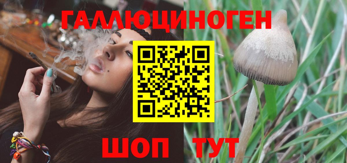 дарнет шоп  Вход с VPN  Орск  Галлюциногенные грибы ЛСД 